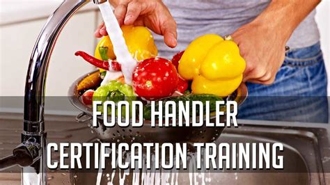 food handler seminar tacloban city|Food Safety .